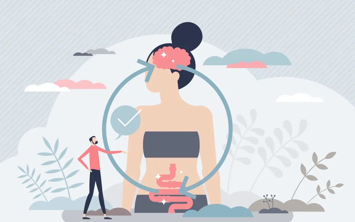 Gut-Brain Link May Hold the Key to Fighting Cognitive Decline