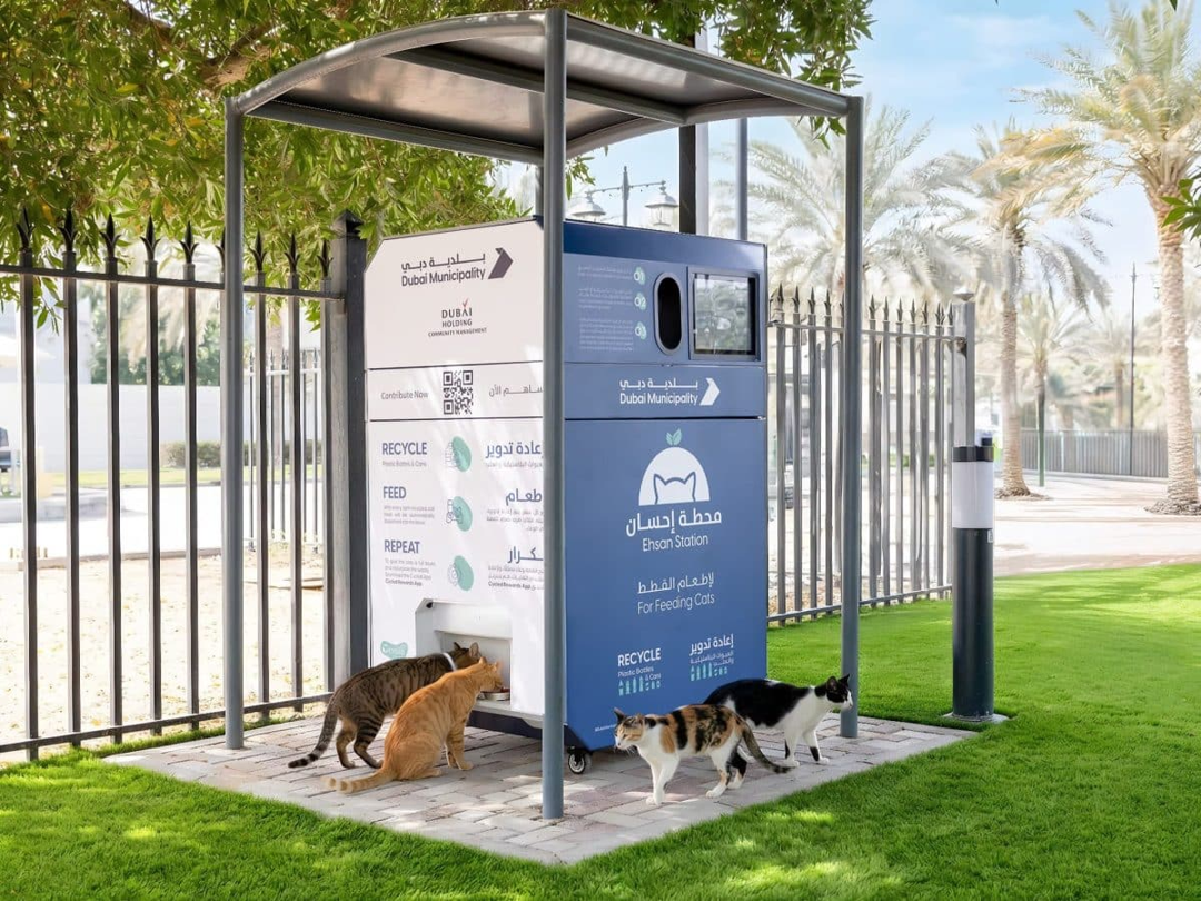 Dubai Launches AI-Powered ‘Ehsan Stations’ to Feed Stray Animals