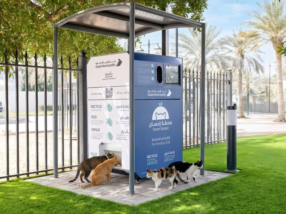 Dubai Launches AI-Powered ‘Ehsan Stations’ to Feed Stray Animals