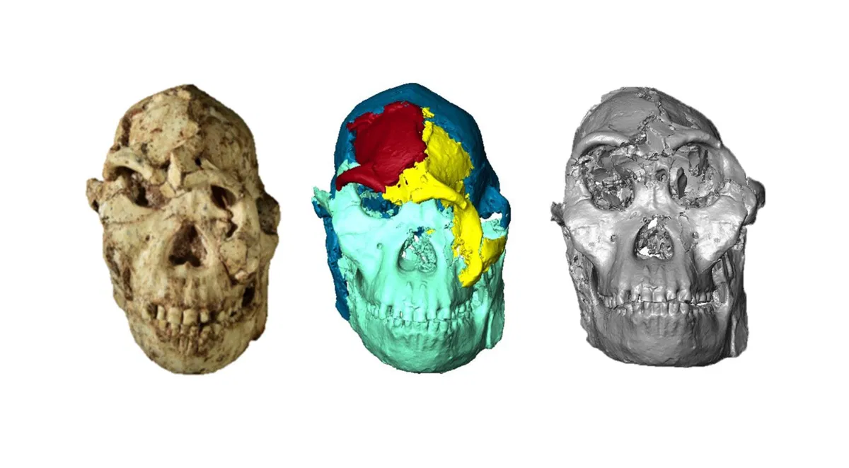 Scientists Digitally Reconstruct the Face of ‘Little Foot,’ One of the Oldest Human Ancestors