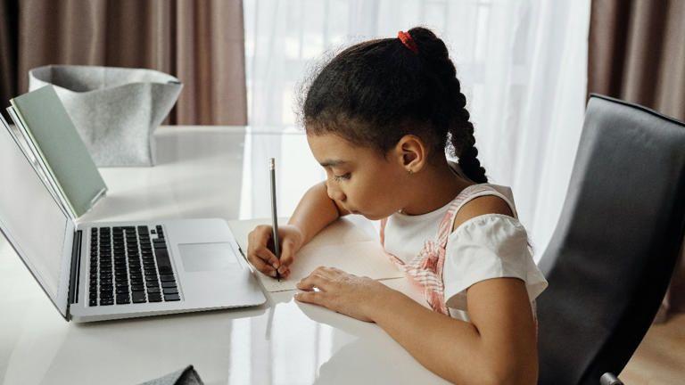 Dubai Schools Distance Learning Extended to April 3, KHDA