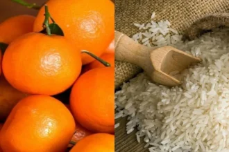 Pakistan's Kinnow and Basmati Rice Exports Hit Record Numbers