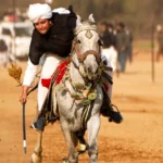 Lances & Equality: Pakistan's Pioneering Female Tent Peggers
