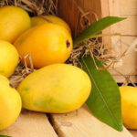 King of Fruits: The Sweet Legacy of Pakistani Mangoes